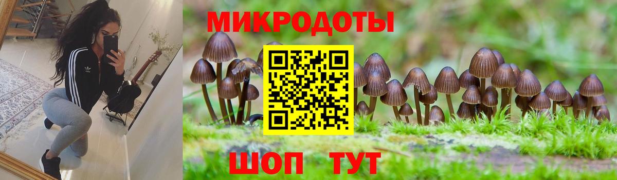 Псилоцибиновые грибы мицелий Кингисепп