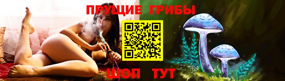 Кингисепп  Псилоцибиновые грибы ЛСД  Псилоцибиновые грибы мухоморы  Вход с VPN 